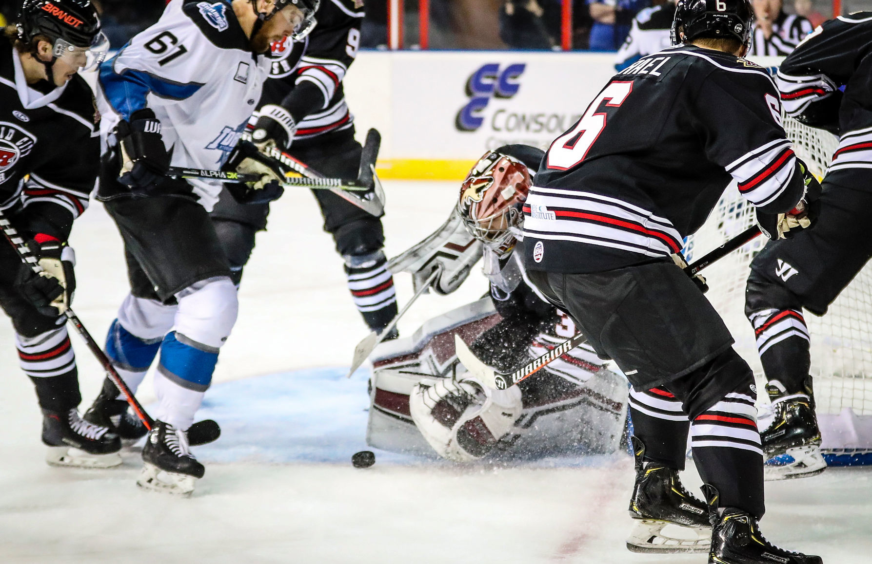 Rush host Steelheads